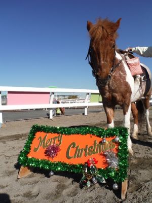 クリスマス看板