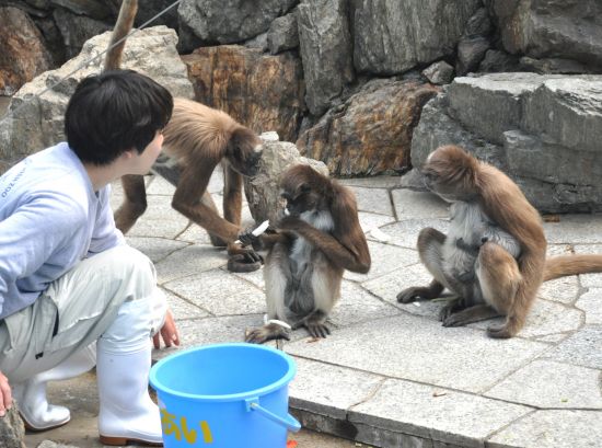 赤ちゃんを観察