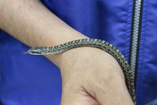 16年09月の自然動物園ぶろぐ 自然動物園 公益財団法人 えどがわ環境財団