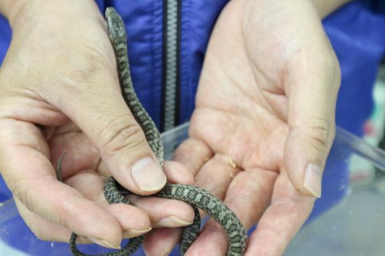 16年09月の自然動物園ぶろぐ 自然動物園 公益財団法人 えどがわ環境財団