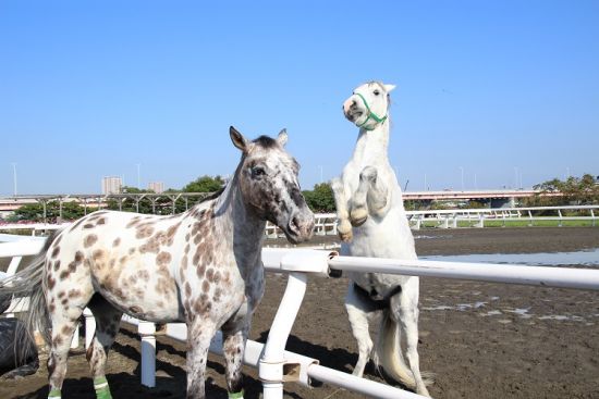 立ち上がるかんた