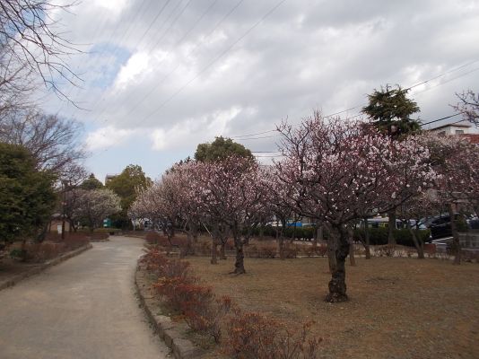 宇喜田東公園