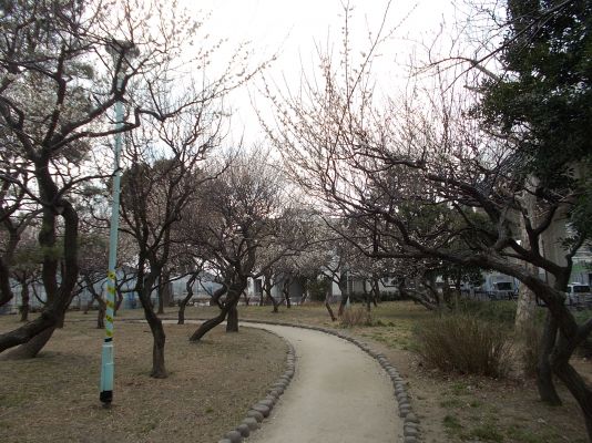 春江の森公園