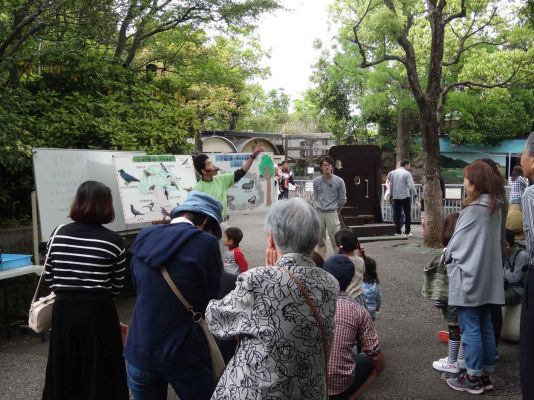 行船公園でみられる野鳥