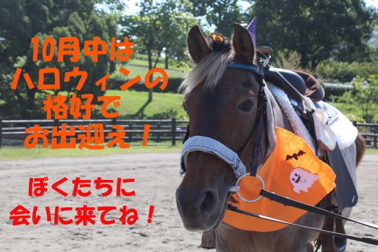 なぎさハロウィン