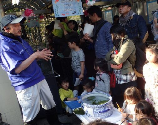 金魚の歴史紹介中