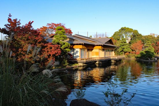 平成庭園紅葉