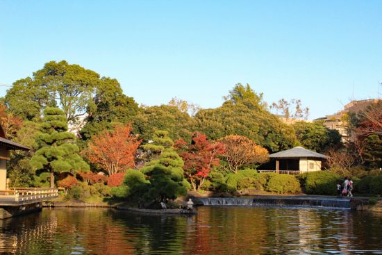 平成庭園紅葉