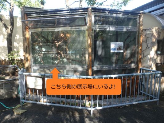 左側の展示場にいるよ!