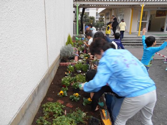 花植え