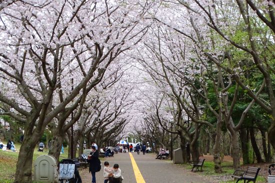 関連画像