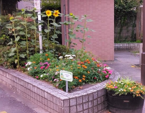 関連画像