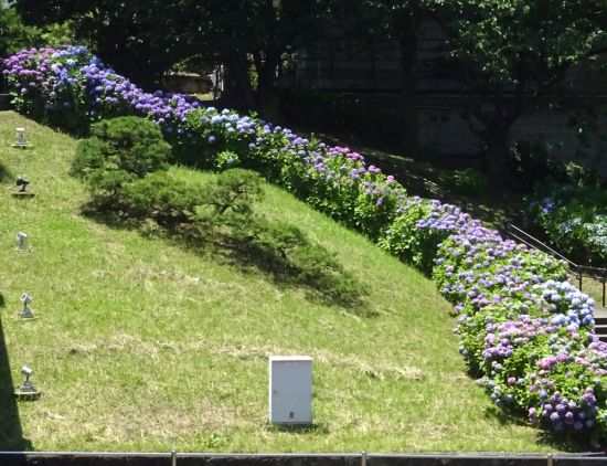 関連画像
