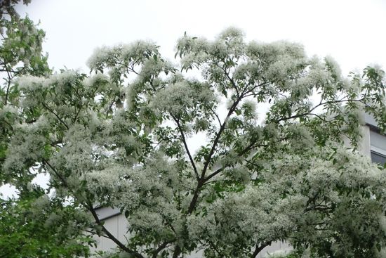 関連画像