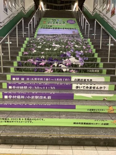 関連画像