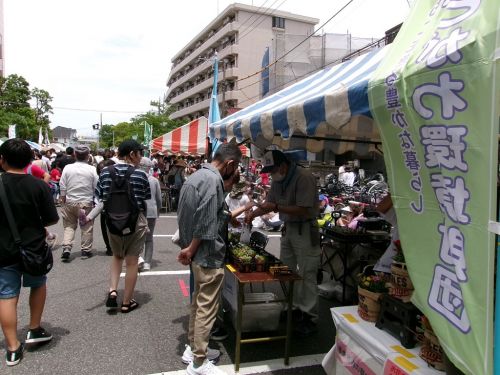 関連画像