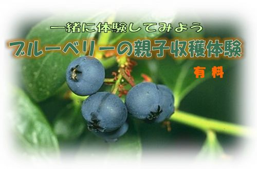 関連画像