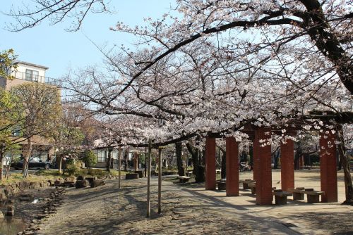 関連画像