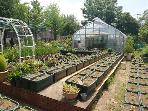 ひまわりde元気と笑顔プロジェクト2023～植付け - おしらせ - 水と