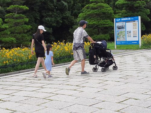 関連画像