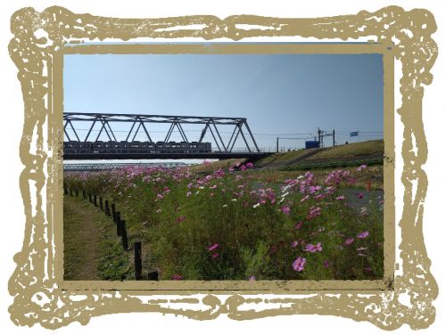 関連画像