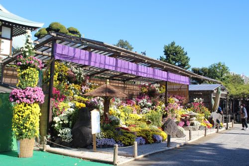 関連画像