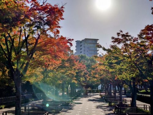 関連画像