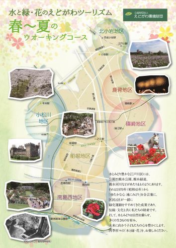 NEW！水と緑・花のえどがわツーリズム - おしらせ - 水とみどり