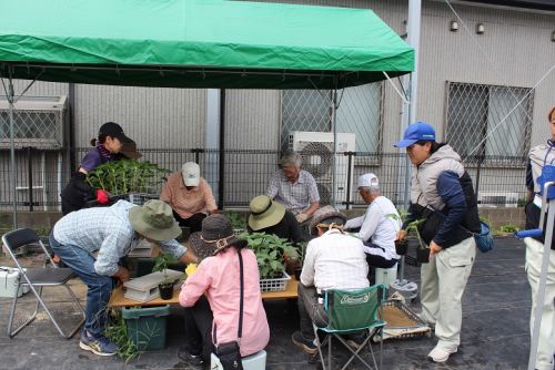 関連画像