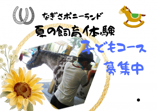 関連画像