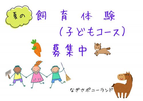 関連画像