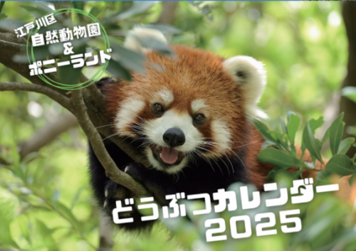 どうぶつカレンダー2025販売のお知らせ！ - ニュース