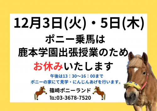 馬のポニー Horse/ホース(馬)・Pony/ポニー・Singing Talking Moving