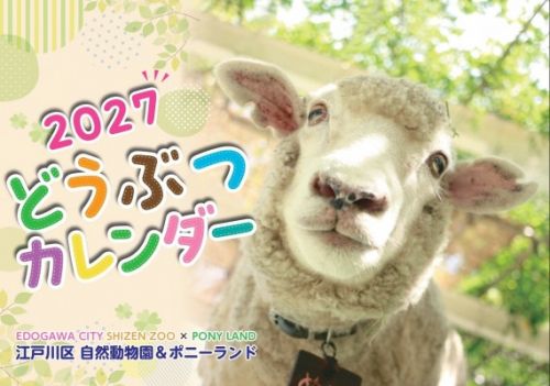 関連画像