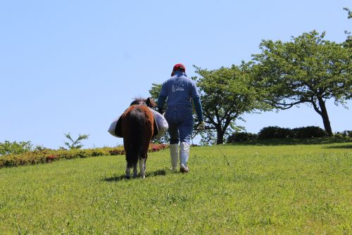 がんばれ！ - ポニーランド - 公益財団法人 えどがわ環境財団