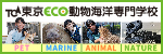 TCA東京ECO動物海洋専門学校