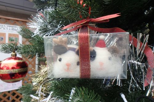 今だけ！動物園クリスマスVer. - 自然動物園 - 公益財団法人 えどがわ