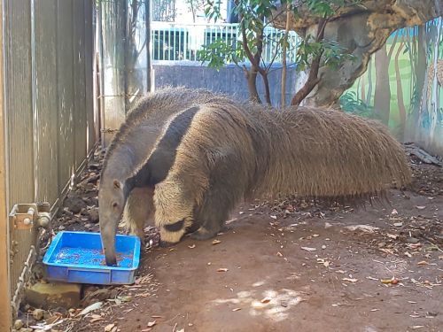 自然動物園 公益財団法人 えどがわ環境財団