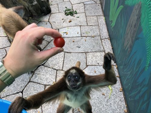 関連画像