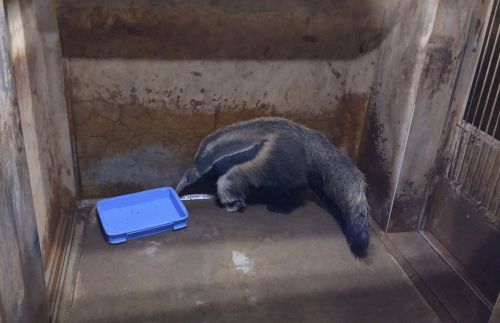 関連画像