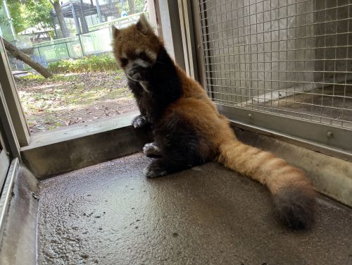 関連画像