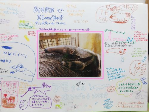 関連画像