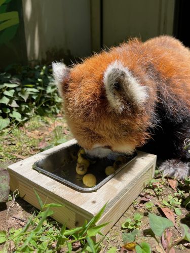 関連画像