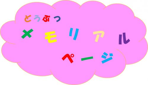 関連画像
