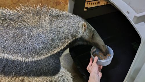 関連画像
