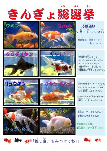 関連画像
