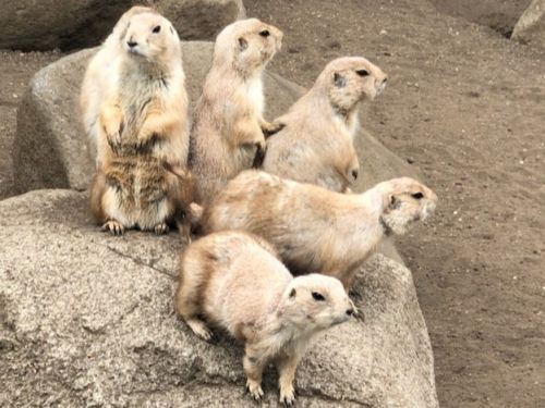 関連画像