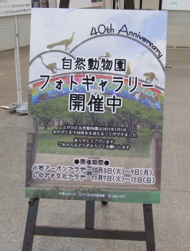 関連画像