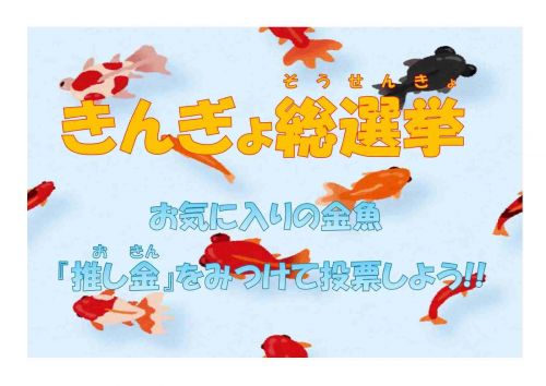 関連画像