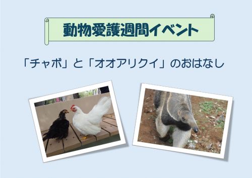 関連画像